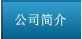 公司简介
